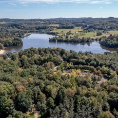 Vue aérienne d'un lac entouré de forêt dense et de zones vertes.