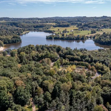 Vue aérienne d'un lac entouré de forêt dense et de zones vertes.