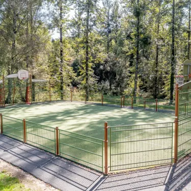 Court de basket en extérieur au Camping Paradis Le Coiroux, entouré d'arbres.