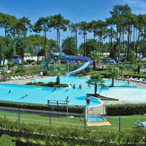 Piscine avec toboggan aquatique entourée de pins au Camping Les Viviers