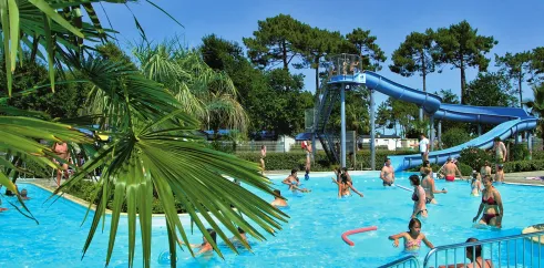 Camping Les Viviers : piscine avec toboggan et palmiers