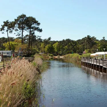 Photo camping Les Viviers : étang avec pont en bois et roseaux