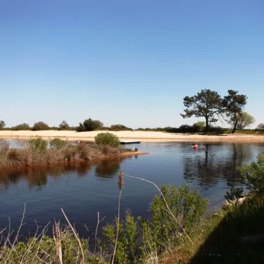 Photo camping Les Viviers : lac entouré de dunes et d'arbres