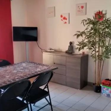Salle à manger avec table, chaises, télévision et plante - Camping Fontaine du Roc