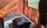Tente Sahari 2 Chambres 5 Personnes Sans Sanitaires - Camping des Bastides : lit avec couette