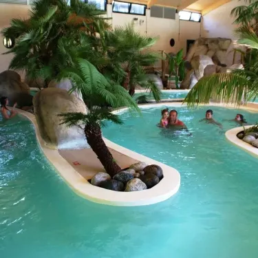 Piscine intérieure avec palmiers et rochers au Camping La Rive