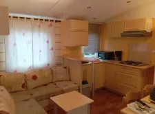 28826
