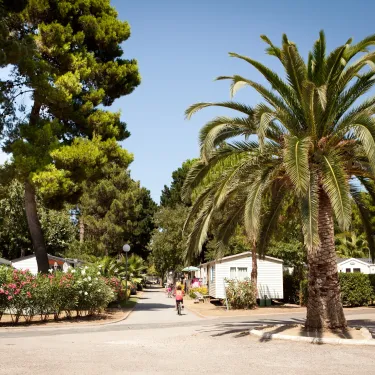 Camping Le Littoral : allée avec palmiers et mobile homes