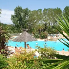 Piscine entourée de palmiers et d'ombrelles au Camping Antipolis