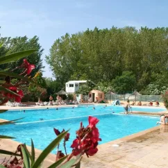 Piscine avec des visiteurs au Camping Antipolis, entourée de végétation et d'une cabane.