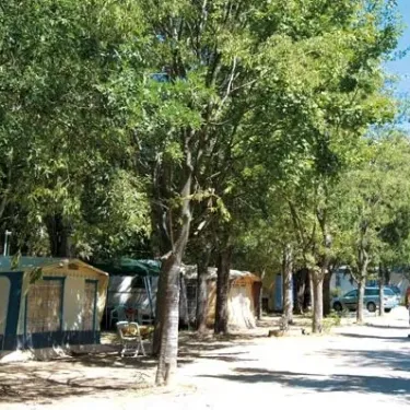 Camping La Barque : tente et cabane en bois au milieu des arbres
