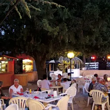 Camping La Barque : repas en plein air sous un grand arbre