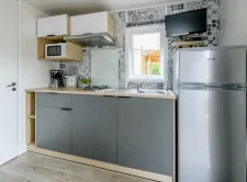 29251
