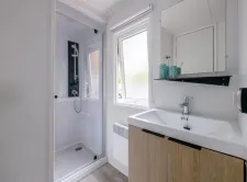29264