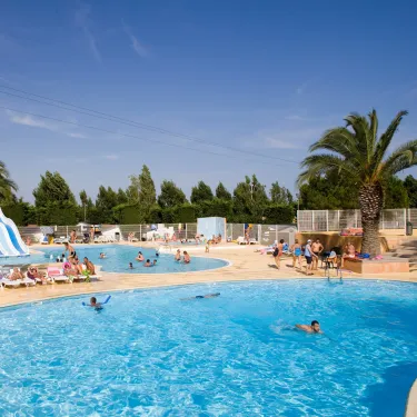 Piscine avec toboggan et palmiers au Camping L'Europe