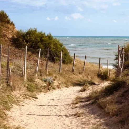 Piste de sable menant à la plage avec mer en arrière-plan, Camping La Côte Sauvage