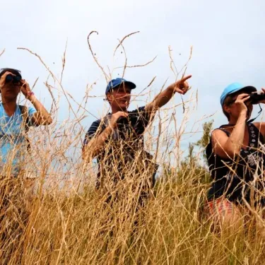 Camping La Côte Sauvage : trois personnes observant la nature à travers des jumelles dans une prairie.