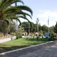 Camping Domaine d'Anghione avec palmiers et allée bordée de verdure