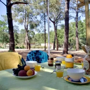 Table à l'ombre des pins avec fruits et jus pour le petit-déjeuner
