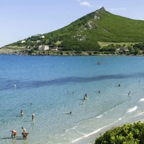Camping Domaine d'Anghione : plage animée avec des visiteurs dans l'eau et une colline verdoyante en arrière-plan.