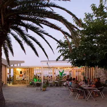 Clients dégustent un repas en extérieur sous les palmiers dans le camping Domaine d'Anghione.