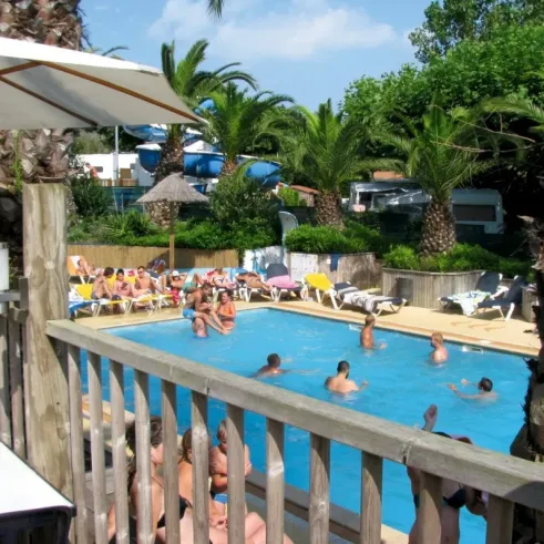 Piscine avec palmiers et chaises longues autour, camping Bela Basque.