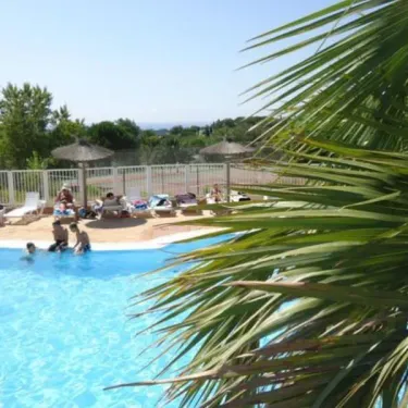 Nageurs dans une piscine entourée de palmiers au Camping Le Parc des Chênes