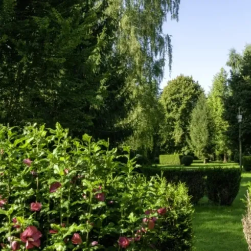 Jardin verdoyant avec fleurs roses et buissons, Camping Le Bois d'Emeraude