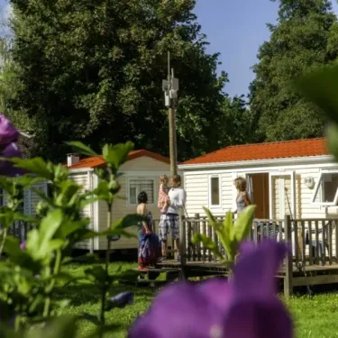 Mobile homes avec toit rouge dans un parc verdoyant, Camping Le Bois d'Emeraude