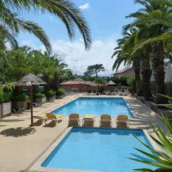 Piscine entourée de palmiers et de chaises longues au Camping Bela Basque