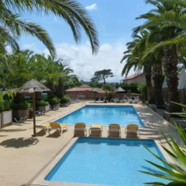 Piscine entourée de palmiers et de chaises longues au Camping Bela Basque