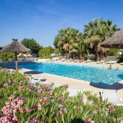 Piscine avec chaises longues et parasols en paille au Camping Beau Rivage, bordée de fleurs roses.