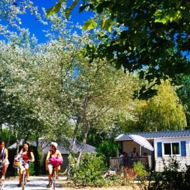 Photo camping Camping Bois d'Amour avec des vélos sous les arbres