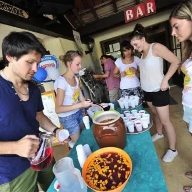 Camping Les Cigales : bar avec des clients buvant des boissons fraîches.