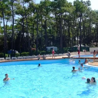 Camping La Plage de Riez : piscine entourée de pins, visiteurs dans l'eau.