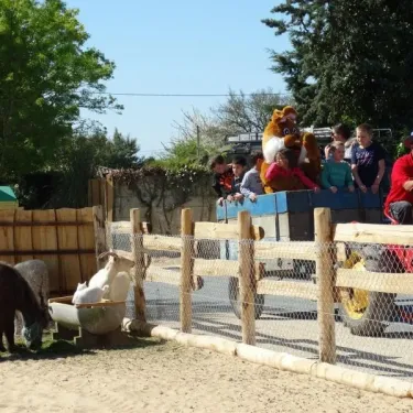 Enfants dans une voiture de tracteur au Camping La Grand Métairie, entourés de chèvres et de moutons dans un enclos.