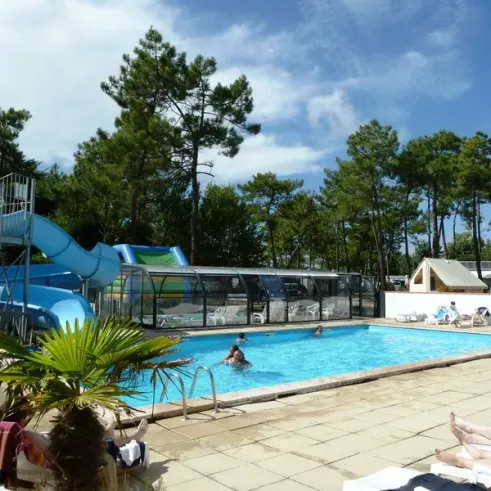 Piscine avec toboggan et palmiers au Camping Les Samaras