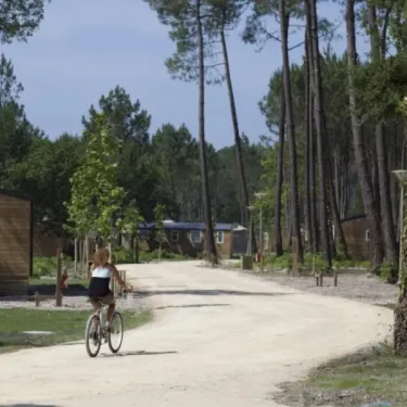 Photo camping Fram Nature : cycliste sur route forestière