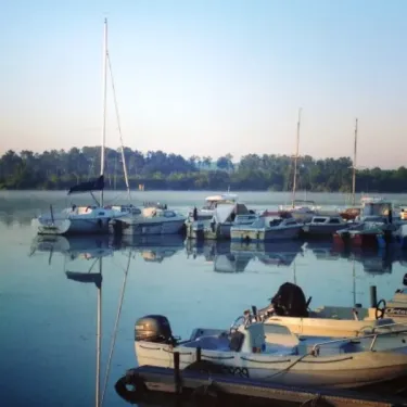 Port avec plusieurs bateaux amarrés sur l'eau, réflexion visible, bordure boisée.
