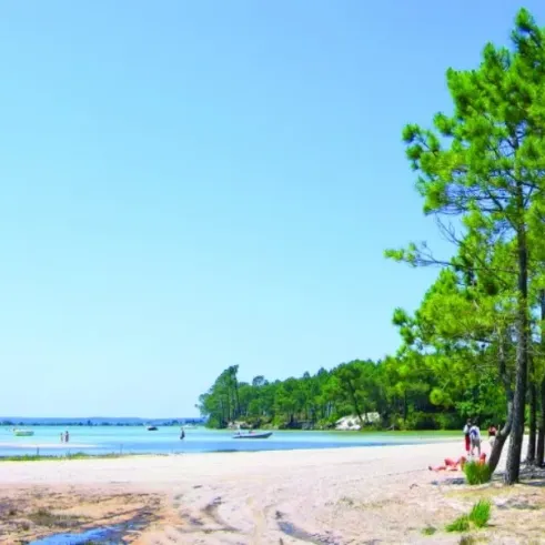 Plage sablonneuse avec pins et eau bleue, Camping Pipiou