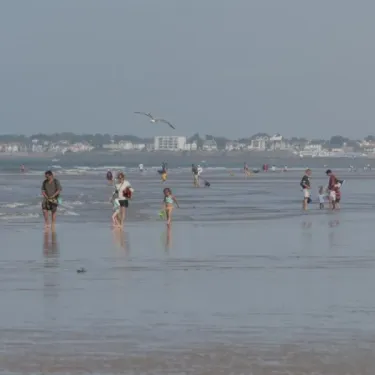 Camping Les Cyprès : plage avec visiteurs et goéland en vol
