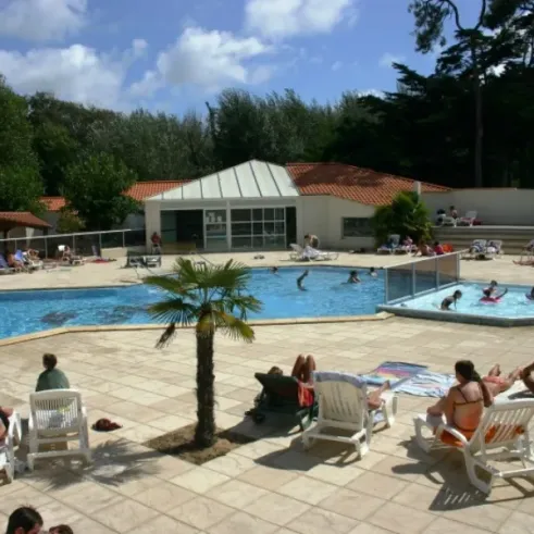 Piscine du camping Les Cyprès : visiteurs nagent et se relaxent sur des chaises longues autour d'une palme.