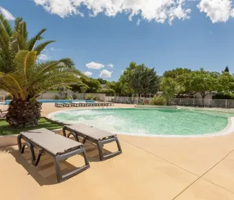 Piscine avec chaises longues et palmier au Camping Les Amandiers