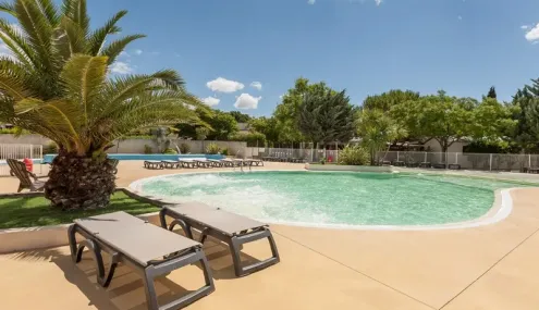 Piscine avec chaises longues et palmier au Camping Les Amandiers