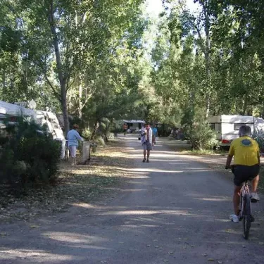 Camping Le Lamparo - Allée boisée avec caravanes et cycliste