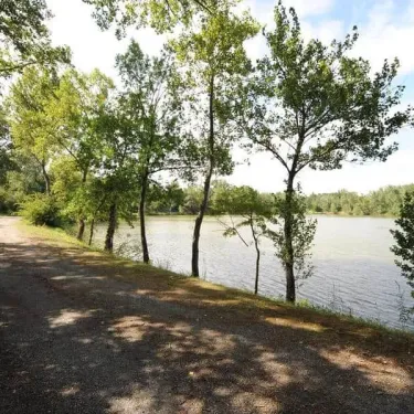Piste forestière bordant un lac sous un ciel bleu, Camping Grand Sud