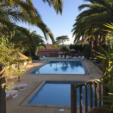 Piscine entourée de palmiers au Camping Bela Basque
