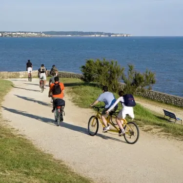 Camping Le Chant des Oiseaux : cyclistes sur un sentier côtier près de la mer.