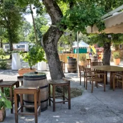 Camping Des Pins : table en bois avec chaises sous un arbre, tonneau décoratif et mobilier de jardin.