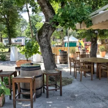 Camping Des Pins : table en bois avec chaises sous un arbre, tonneau décoratif et mobilier de jardin.